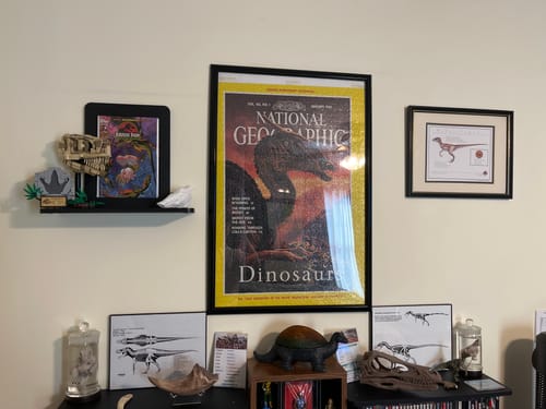 Customer photo review of The Nerd Shelf