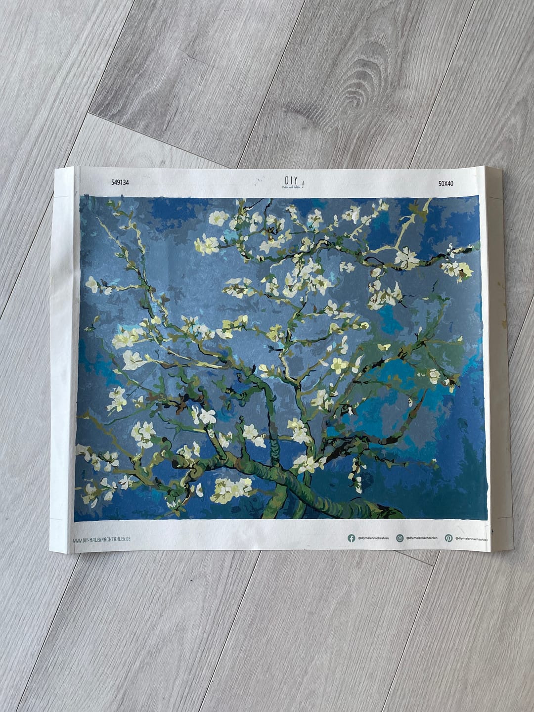Customer photo review of Malen nach Zahlen - Mandelblüte - Vincent van Gogh
