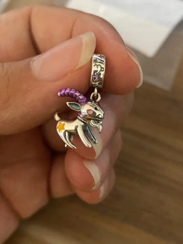 M. T. review of 925 Sterling Silver Glow in the Dark Capricorn Charm image 1 out of 1