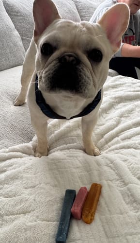 Customer photo review of Pumpkin Yak Chews