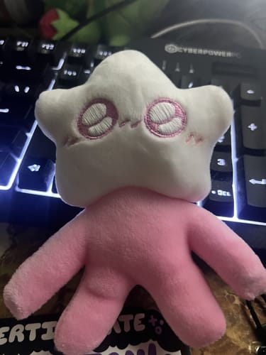 Customer photo review of Adopt a Star Baby Plush Blind Box