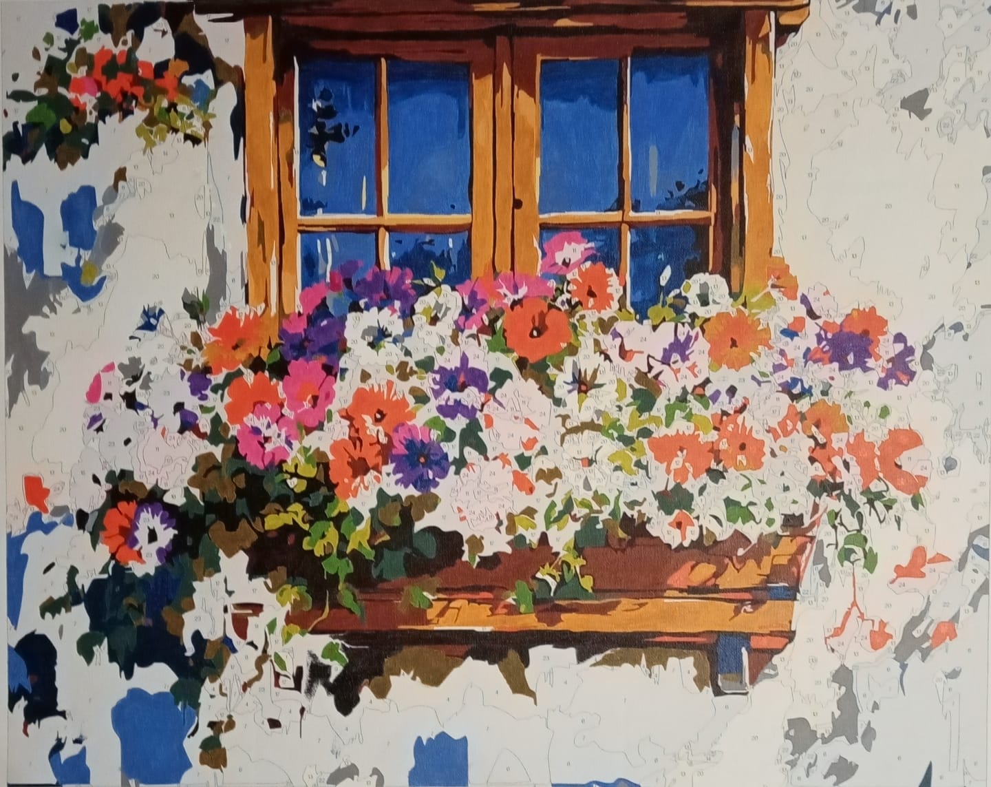 Customer photo review of Sunlit Window Blooms