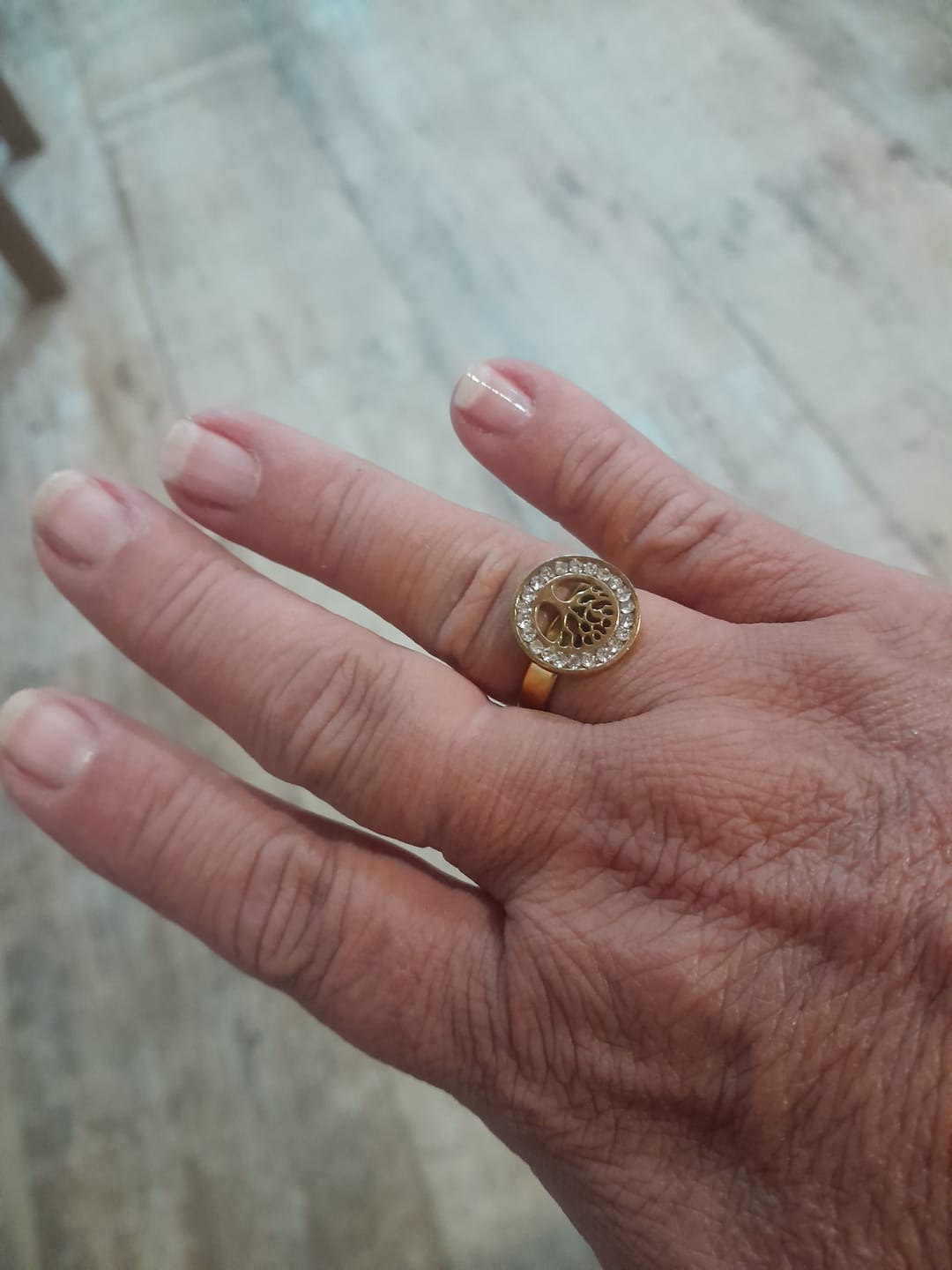 Customer photo review of Anel Árvore da Vida Banhado em Ouro 18K