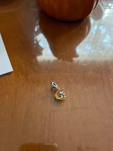 A. R. review of 925 Sterling Silver Dog and Cat on the Moon Charm image 1 out of 1