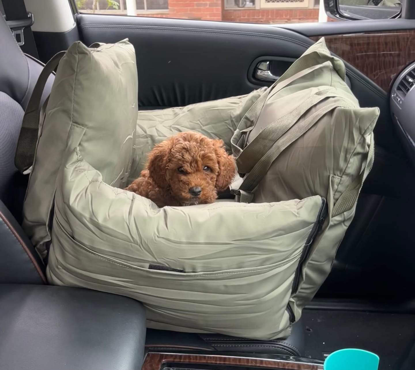 Customer photo review of Pawz Car Booster Seat Carry Bag