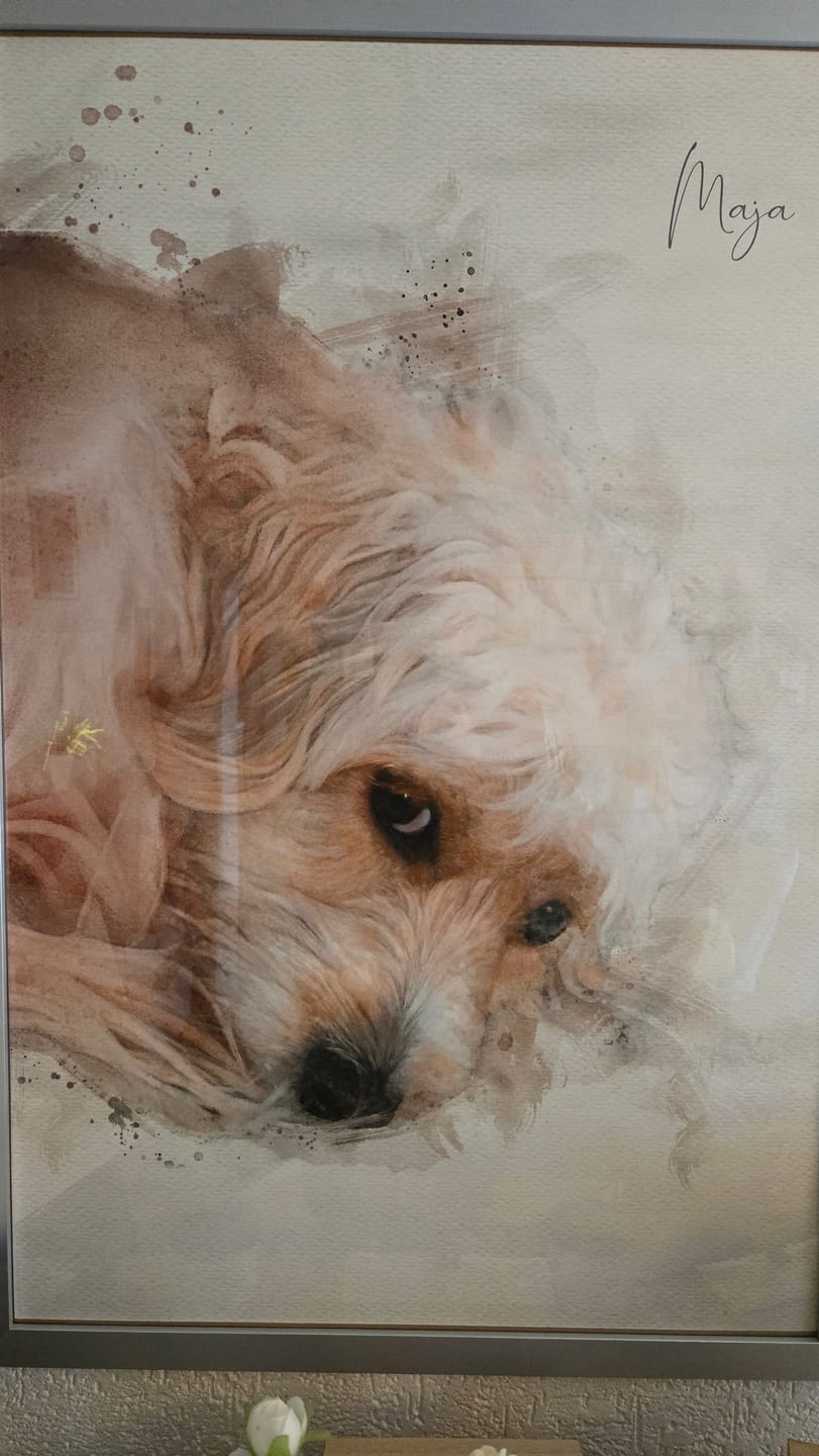 Customer photo review of Hundeportrait nach Foto