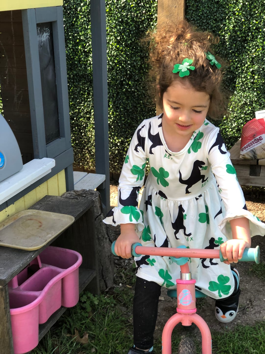 Customer photo review of St. PatRex Dino Clover Dress