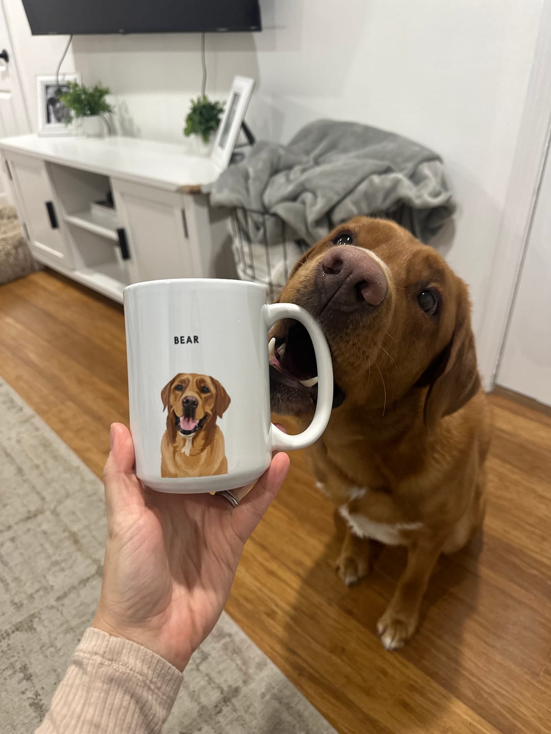 Customer photo review of Custom Pet Portrait Mug