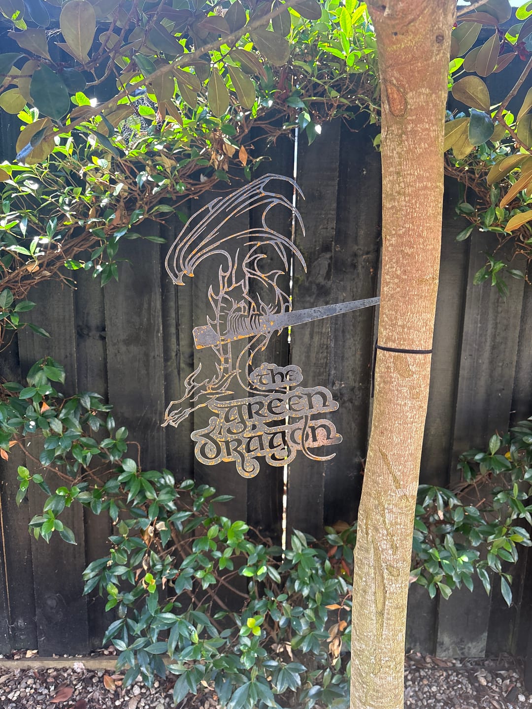 Customer photo review of THE GREEN DRAGON™