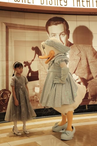 Customer photo review of Girls Sequin Embroidered Tulle Dress - Starlight Silver