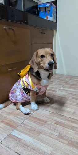 Customer photo review of Cookable Single Proteins