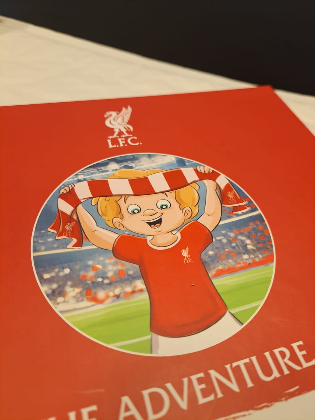 Customer photo review of LFC Personalised Book