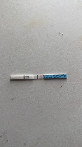 Customer photo review of PCOS Supplement