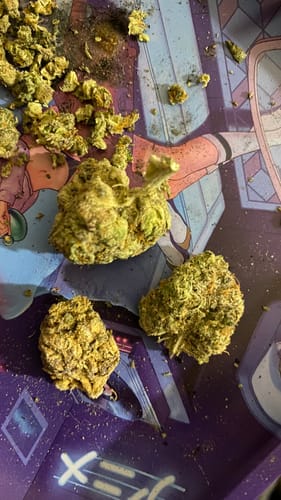 Customer photo review of Shipping Protection by Route