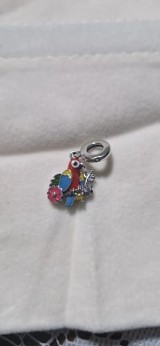 F. Z. review of 925 Sterling Silver Parrot Charm image 1 out of 1