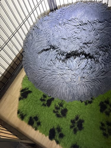 Customer photo review of Tre-øjet monster mini lommelygte