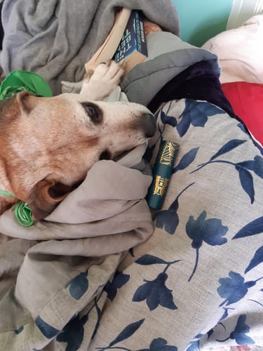 Customer photo review of Ile Rouge