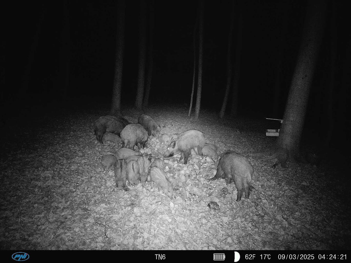 Customer photo review of Rausch - Lockmittel Schwarzwild, Rehwild, Rotwild und Damwild