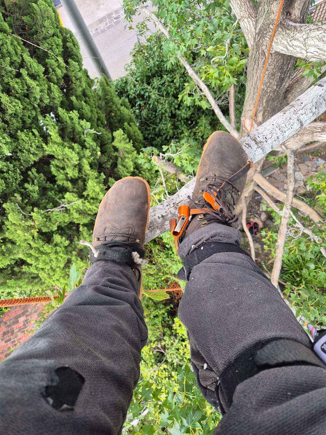 Customer photo review of Vivobarefoot Tracker Forest Esc Mens Bracken