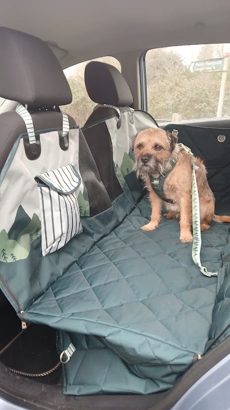 Customer photo review of Car Seat Cover - Walkies Ready® Forest Green