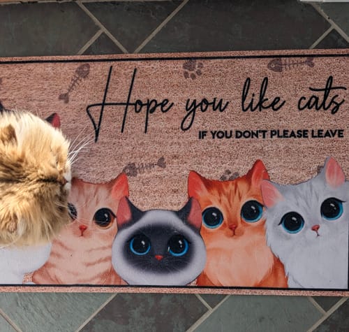 Customer photo review of Hope You Like Cats Watercolor Cute Cats Peeking Personalized Doormat