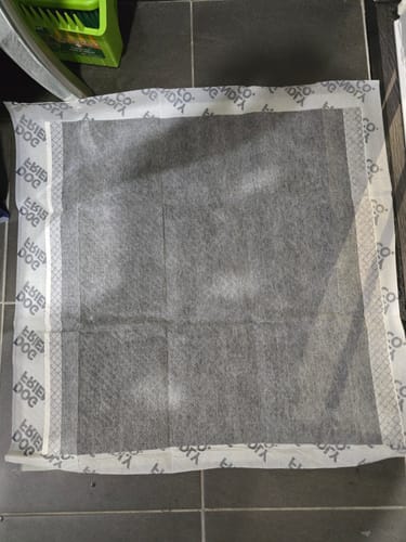 Customer photo review of Training Pee Pad