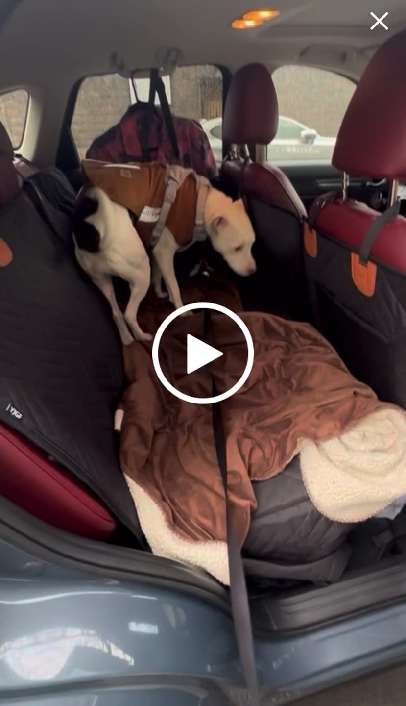 Customer video review of FurGuard™: Hard Bottom Extender