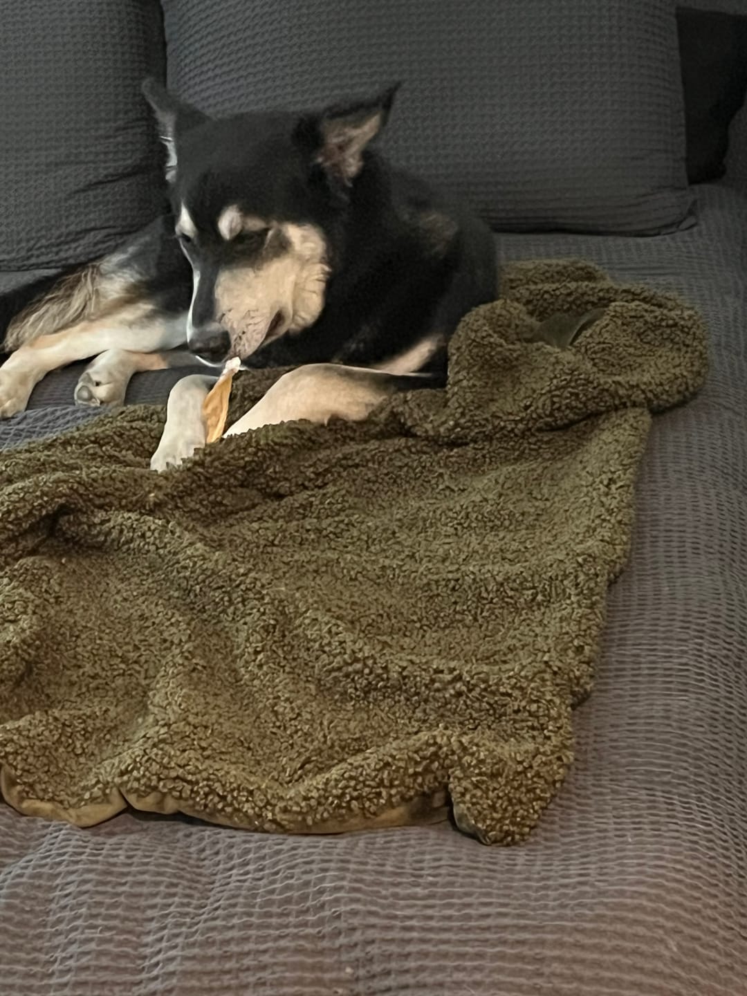 Customer photo review of 12 Inch Beef Jerky Stick