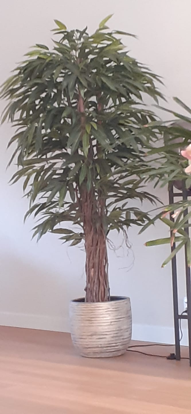 Customer photo review of Longifolia Kunstplant 180cm