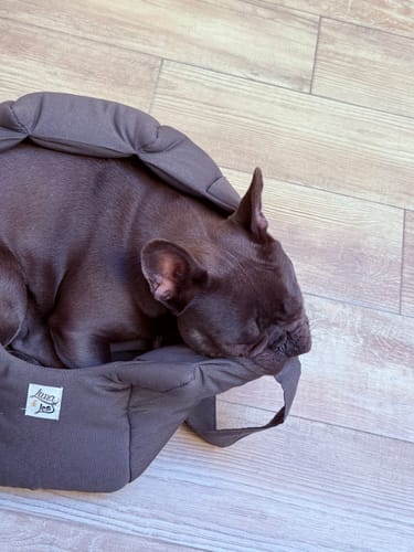 Customer photo review of Trasportino Cotone Siena