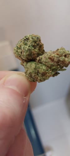 Customer photo review of Runtz X Alien Mintz
