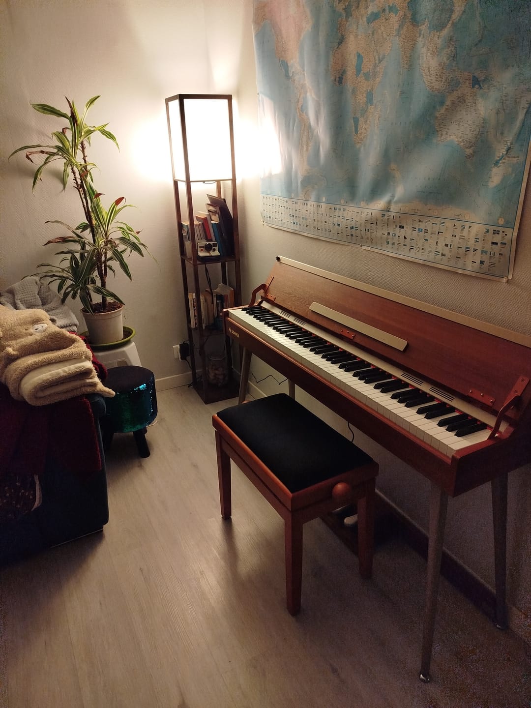 Customer photo review of Donner DDP-80 PLUS Piano numérique Design en bois