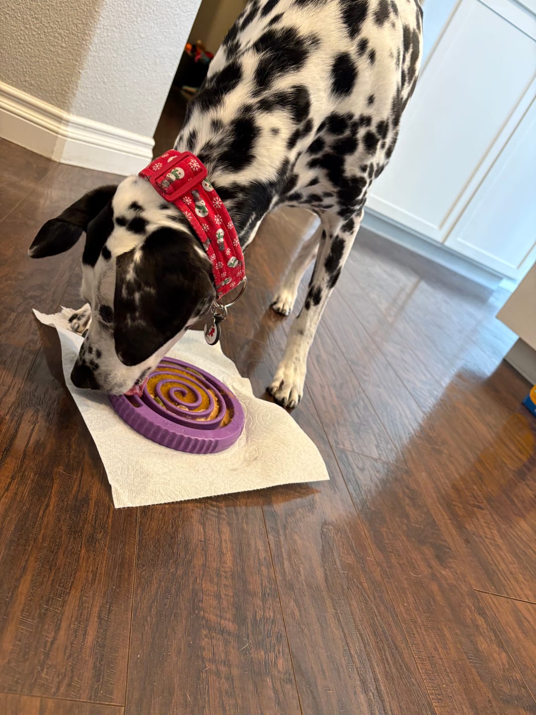 Customer photo review of FreezHeart - Durable Heart Enrichment Chew