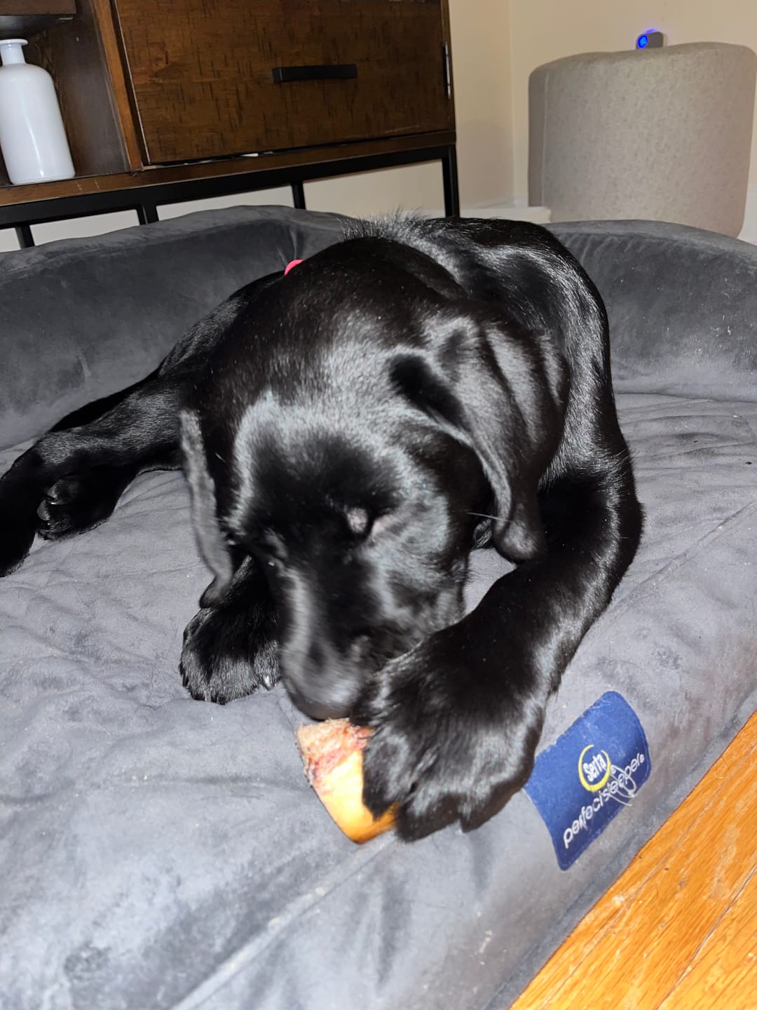 Customer photo review of Smoked Beef Marrow Bones