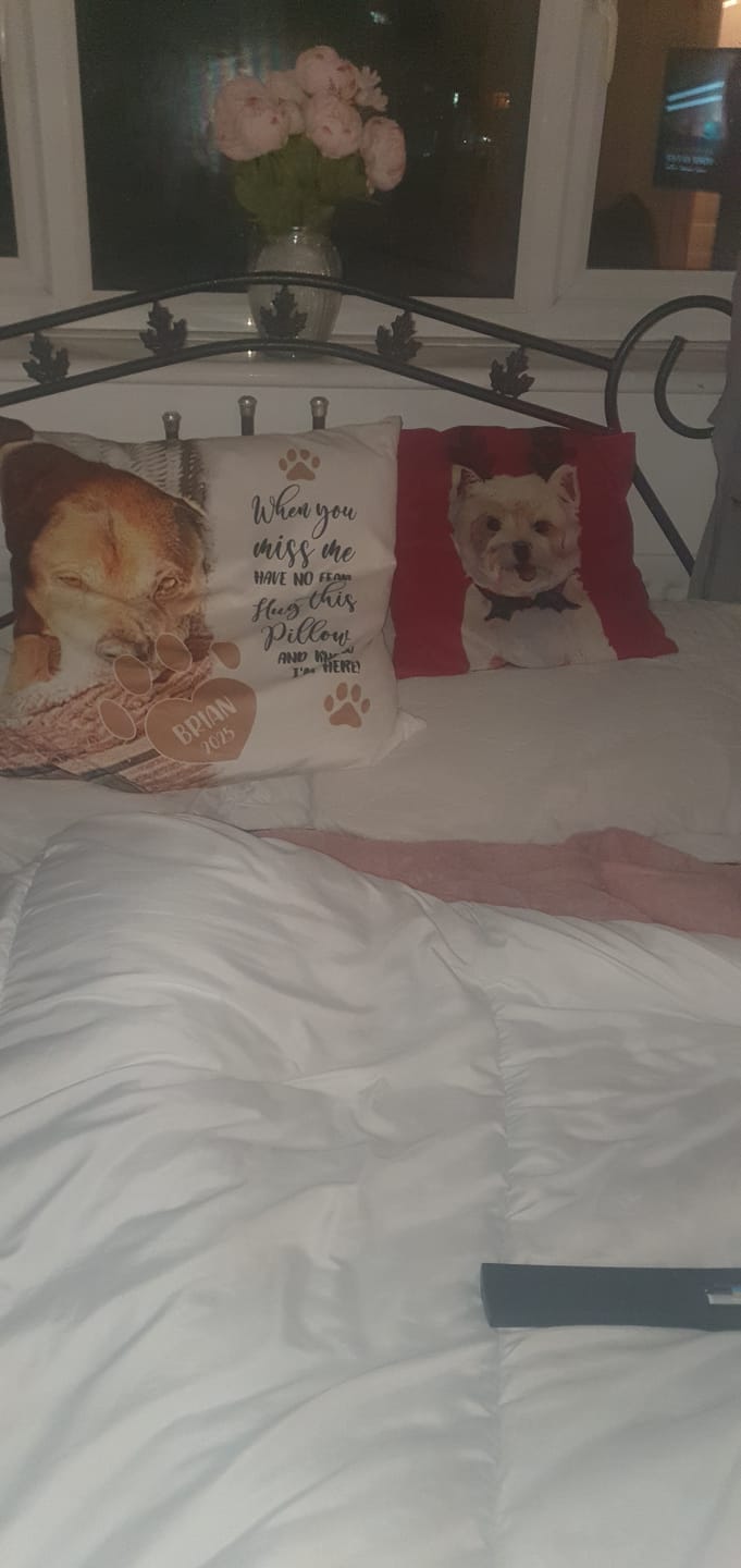 Customer photo review of When you miss me - Personalised Pillow