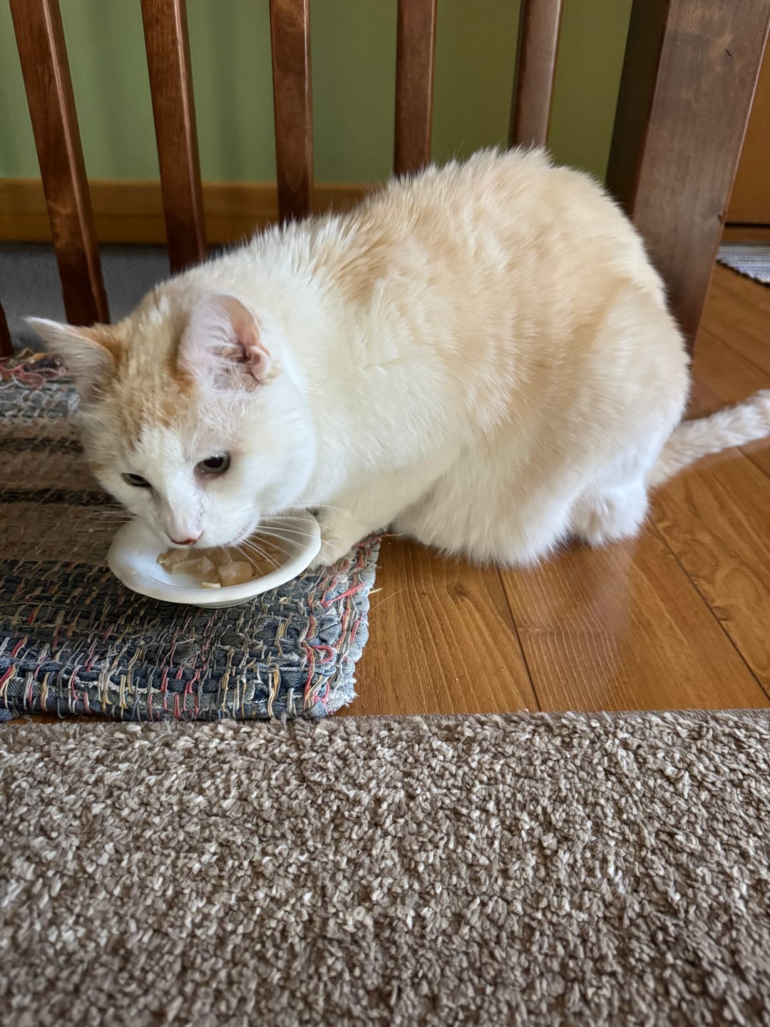 Customer photo review of Freeze Dried Chicken Treats