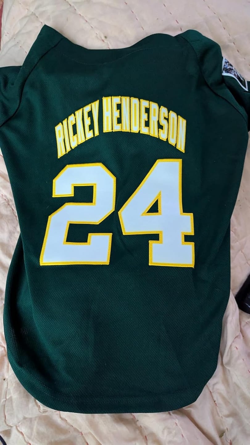 Customer photo review of Custom Green White-Gold Classic Style Dog Jersey