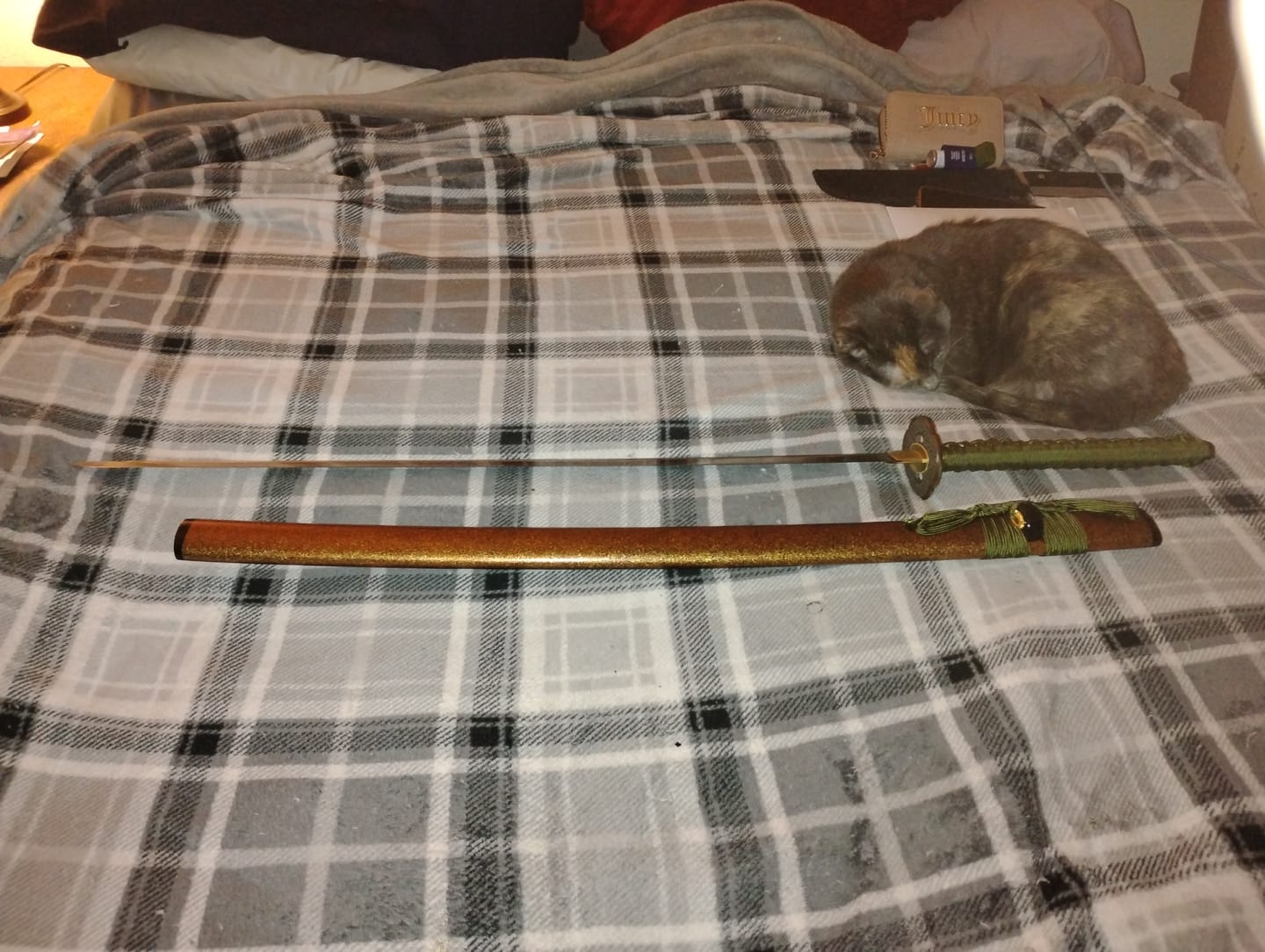 Customer photo review of The Fukyo Katana Spring Steel Double Bohi Razor Sharp