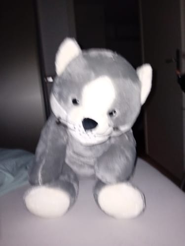 Customer photo review of Lotgenootje Kat 2kg