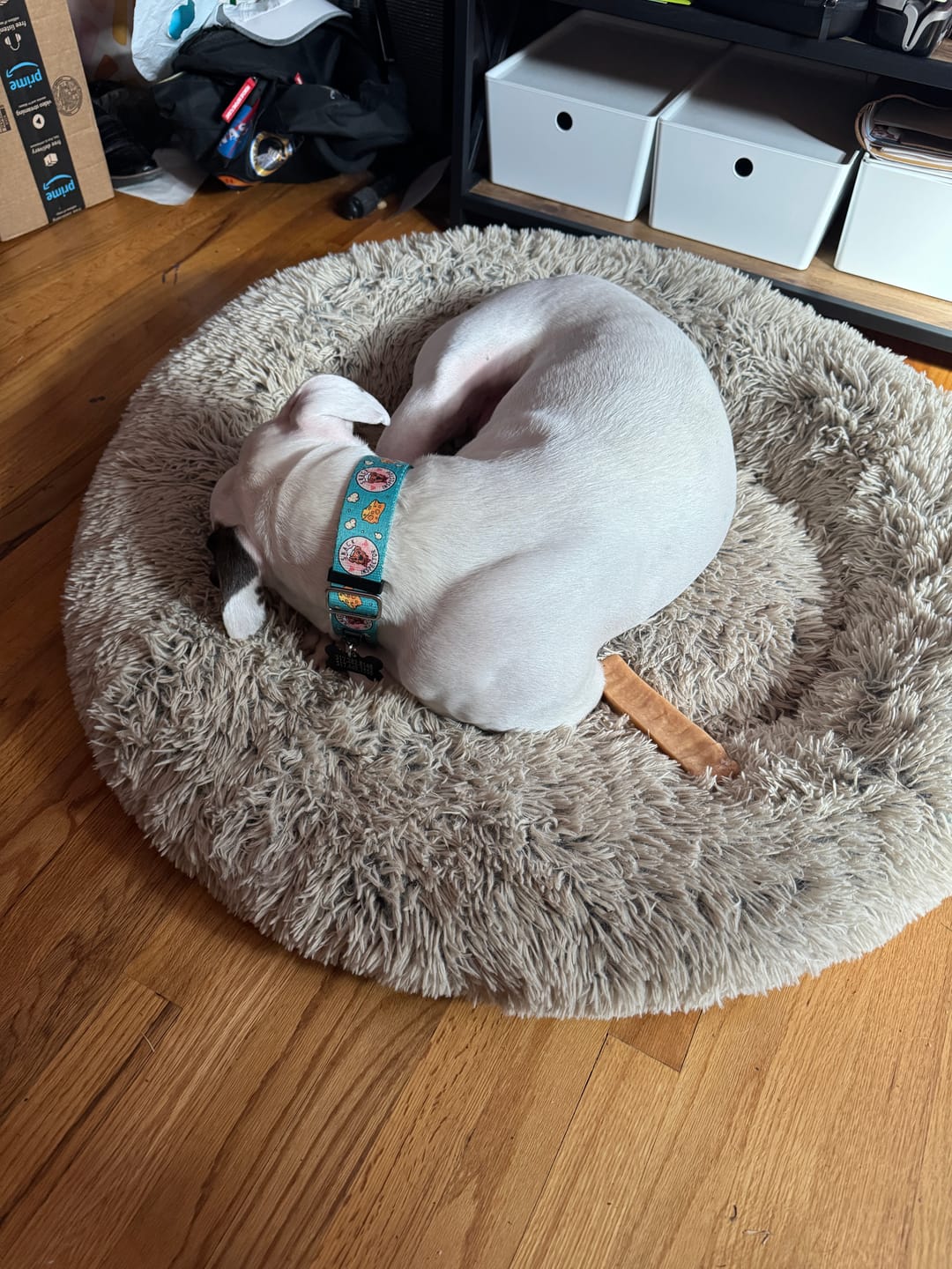 Customer photo review of Himalayan Yak Chew (LARGE)