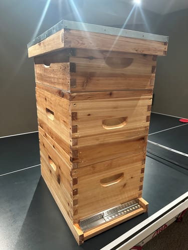 Customer photo review of BeeCastle Logo Free 8 Frame Beeswax Coated Unassembled Beehive:2 Deep Cedar Wood Bee Boxes, 1 Medium Cedar Wood Bee Box for Superior Beekeeping.