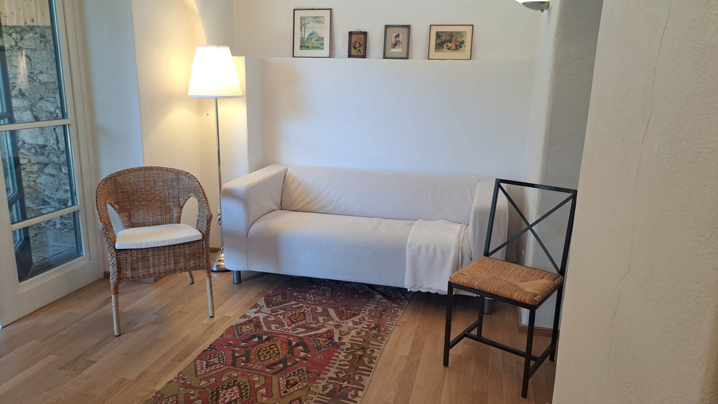 Customer photo review of KLIPPAN 2 Seat IKEA Sofa Cover
