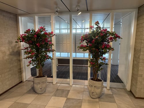 Customer photo review of Bougainvillea Kunstplant 180cm
