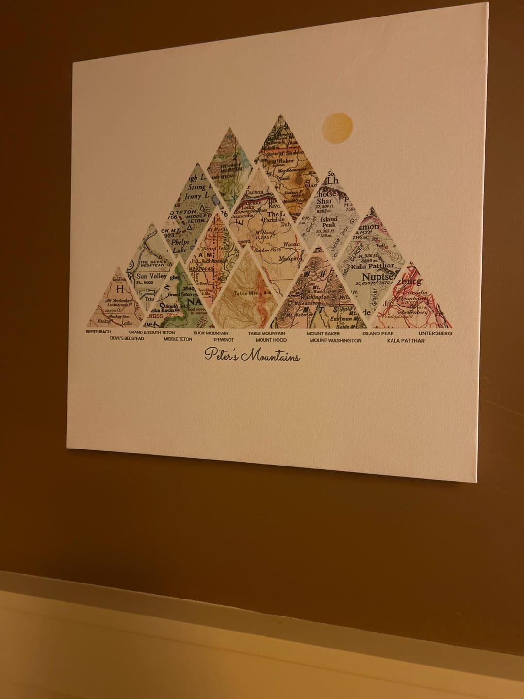 Customer photo review of Milestones Map [Digital Only]