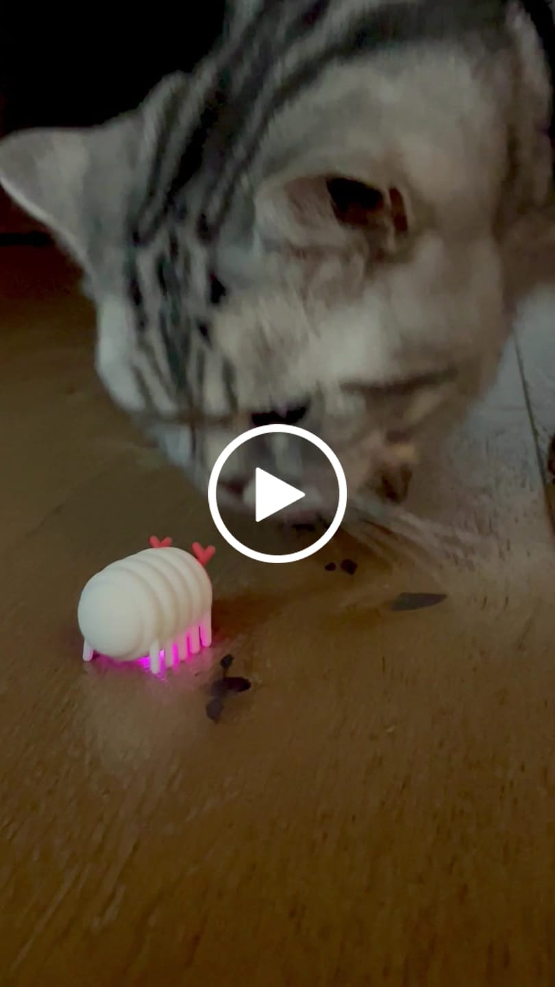 Customer video review of Michu MeowMate Little Monster Automatic Cat Toy