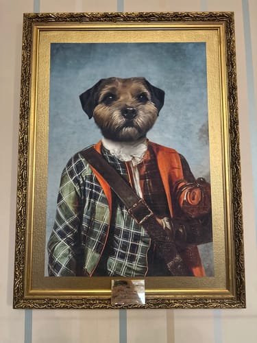 Customer photo review of Scottish Gent - Custom Vintage Pet Portrait