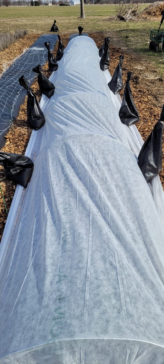 Customer photo review of Floating Row Cover*