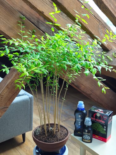 Customer photo review of ANABOLIC CB® (Trasformazione Estrema)