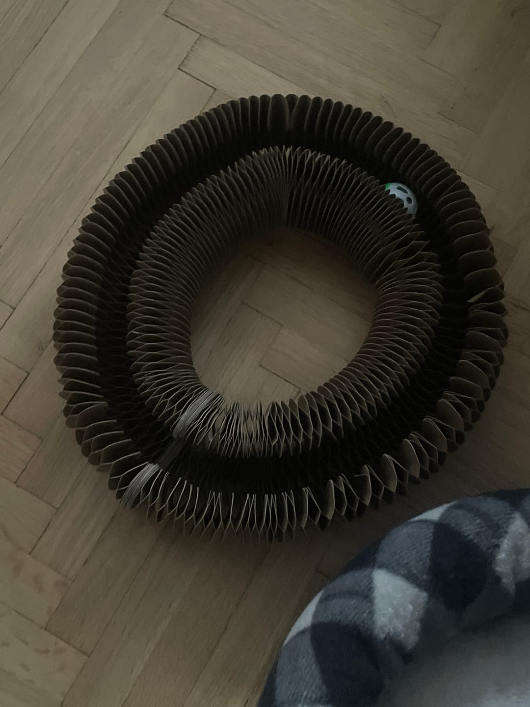 Customer photo review of Multifunkcionalna Igračka i Grebalica za Mačke