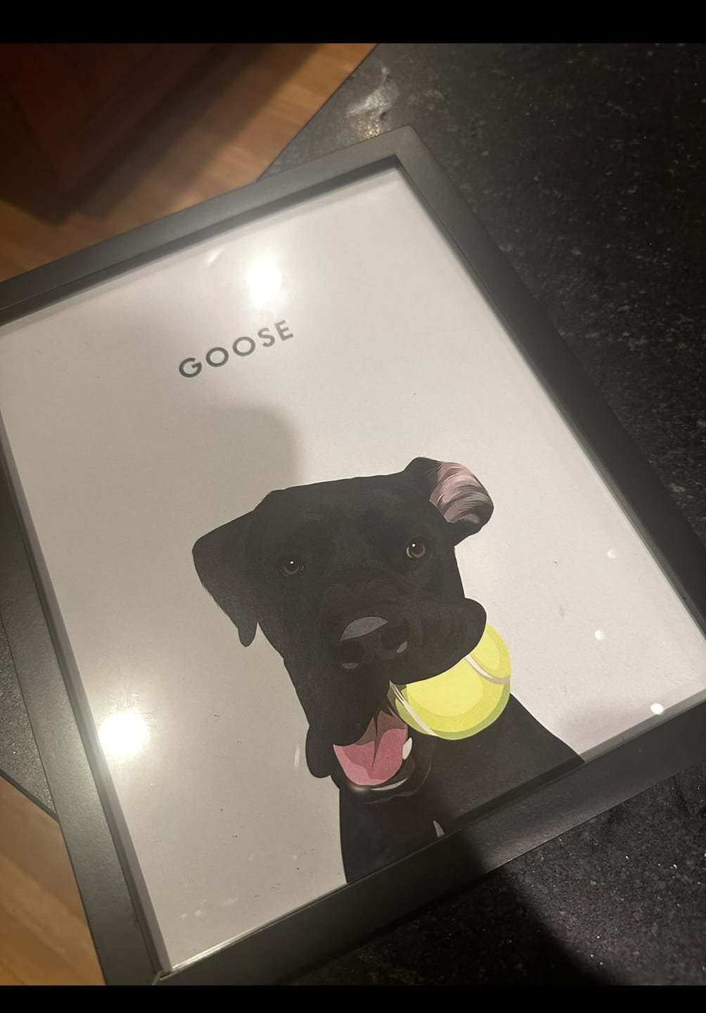 Customer photo review of Custom Desktop One Pet Portrait